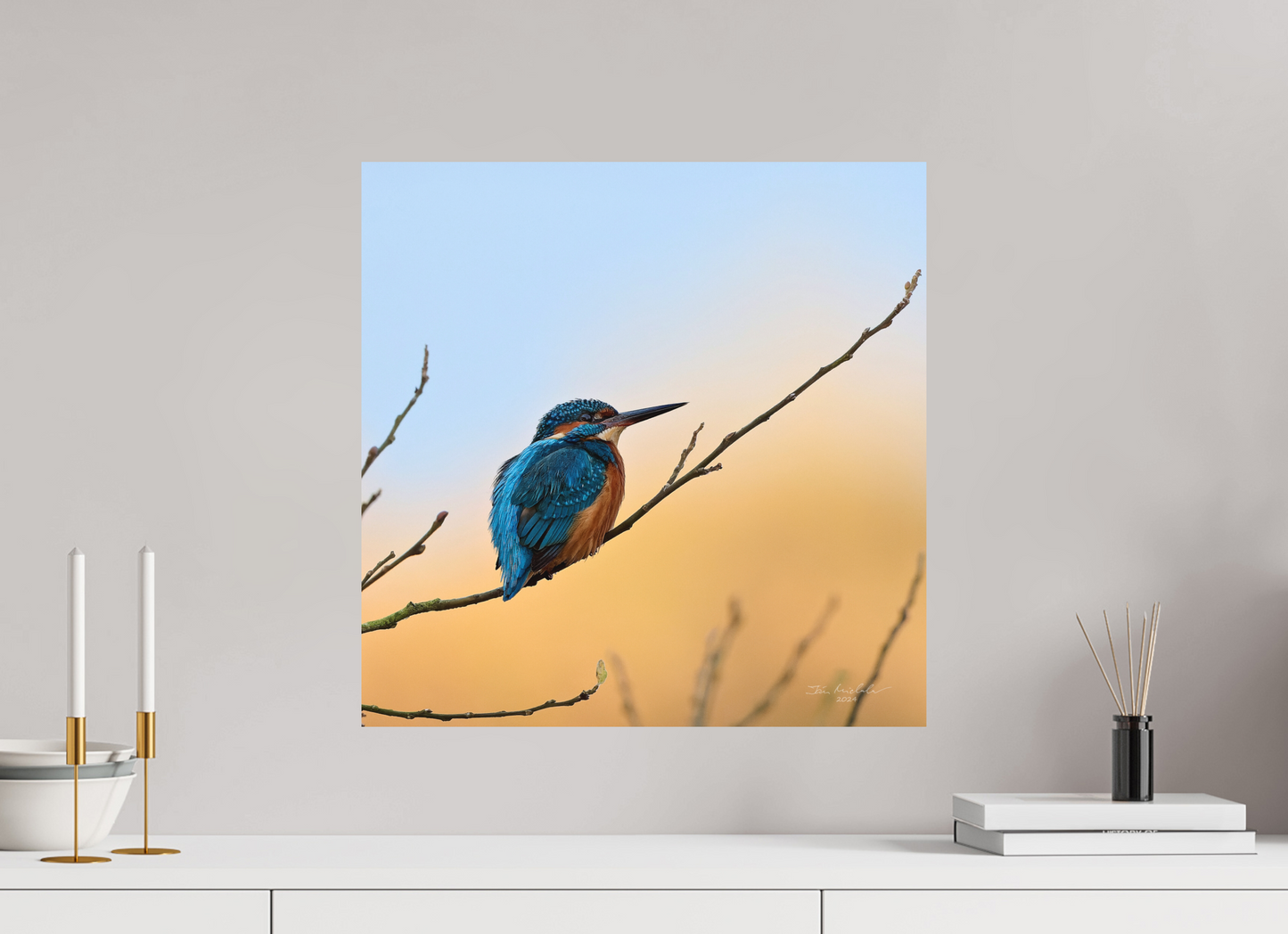 50 x 50 cm, Hahnemuhle Photo Rag Ultra Smooth Common Kingfisher II, RSPB Lakenheath Fen, East Anglia, UK, 2024