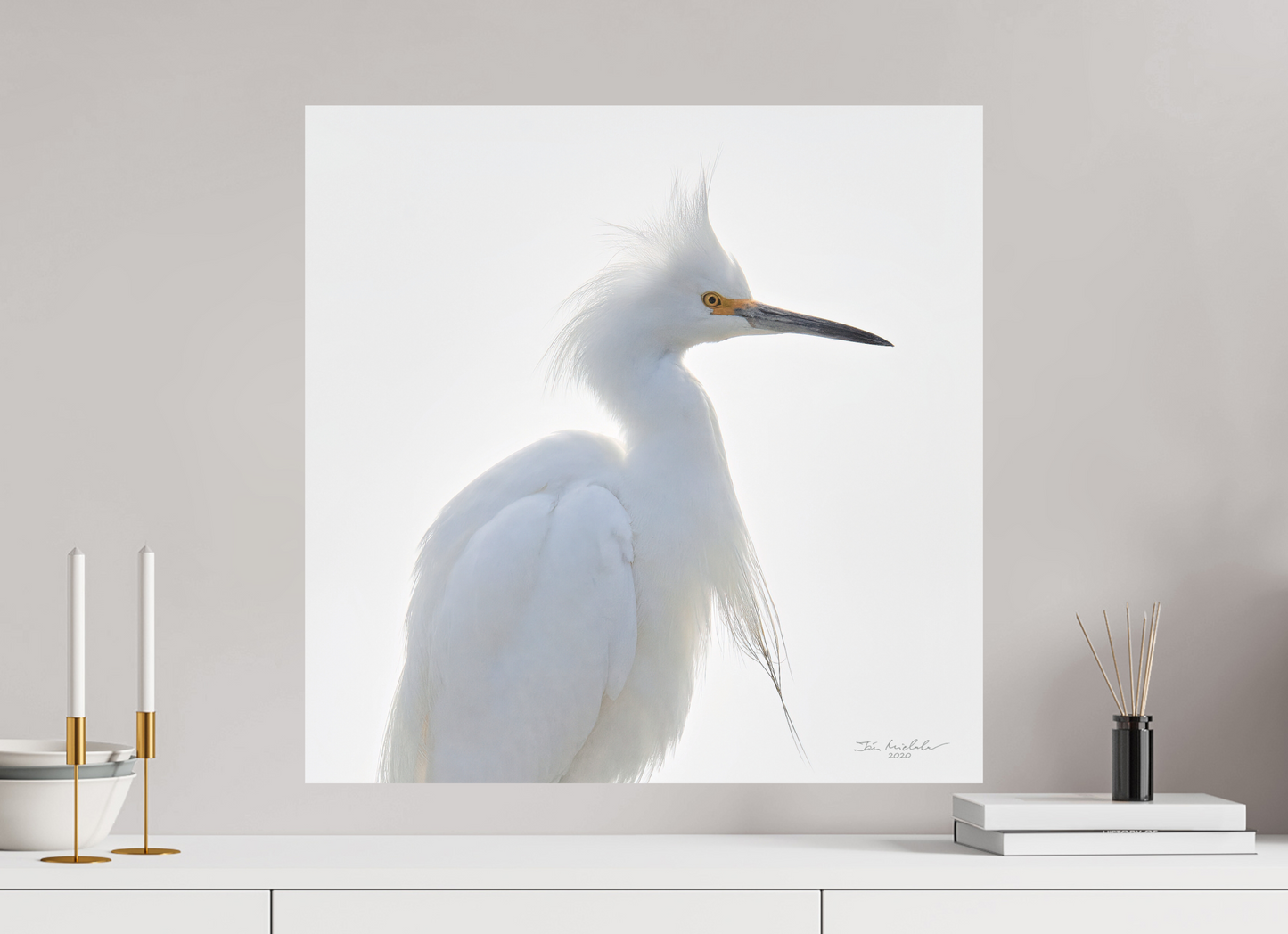 60 x 60 cm, Fuji Matt Snowy Egret, Baylands Nature Preserve, Palo Alto, California, USA, 2020
